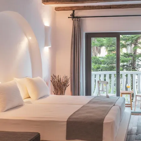 Flamingo & - Pet Friendly Hotel Ölüdeniz