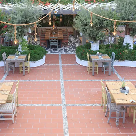 Flamingo Hotel&spa - Pet Friendly Ölüdeniz