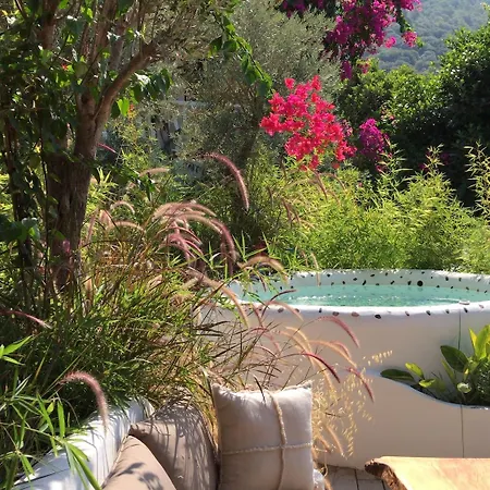 Flamingo & - Pet Friendly Oludeniz
