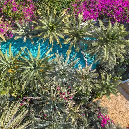 Flamingo & - Pet Friendly Hotel