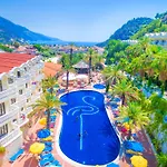Hotel Flamingo & - Pet Friendly