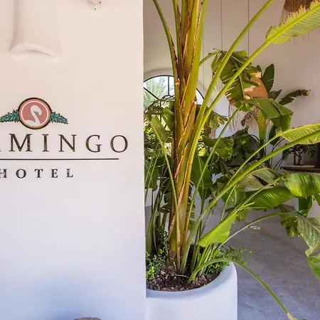 Flamingo Hotel&spa - Pet Friendly Hotel