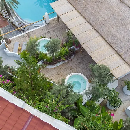 Flamingo Hotel&spa - Pet Friendly Ölüdeniz