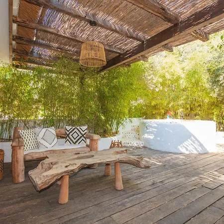 Flamingo & - Pet Friendly