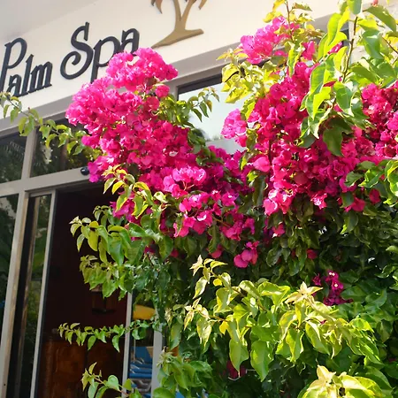 Hotel Flamingo Hotel&spa - Pet Friendly