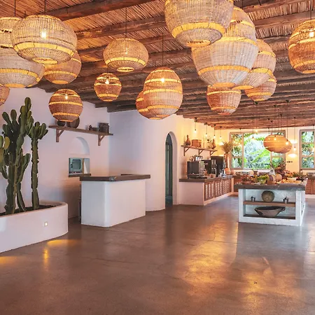 Hotel Flamingo Hotel&spa - Pet Friendly