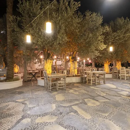 Flamingo Hotel&spa - Pet Friendly 3* Ölüdeniz