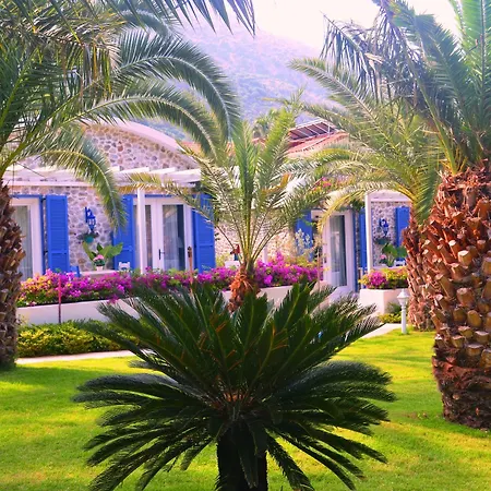 Flamingo Hotel&spa - Pet Friendly 3* Ölüdeniz