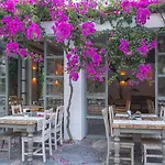 Hotel Flamingo Hotel&spa - Pet Friendly