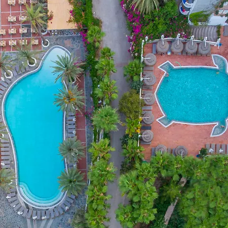 Hotel Flamingo Hotel&spa - Pet Friendly 3*