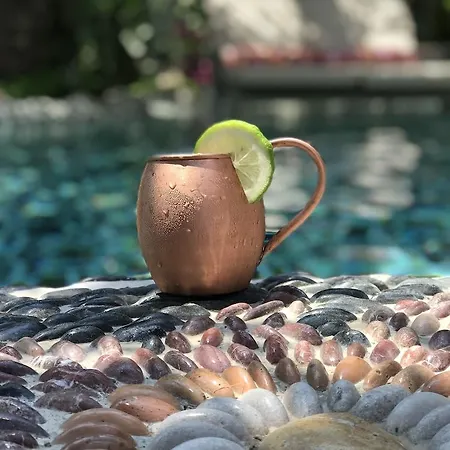 Flamingo Hotel&spa - Pet Friendly Hotel 3*