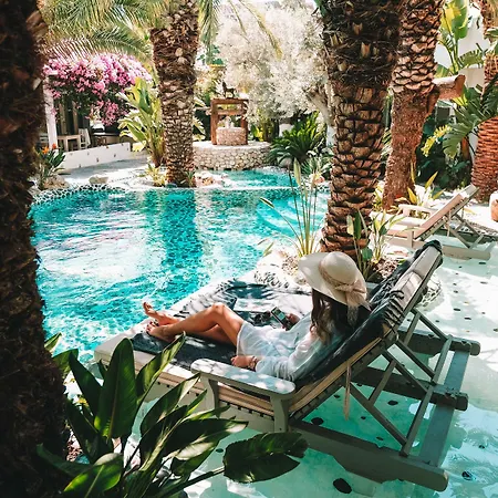 Otel Flamingo & - Pet Friendly 3*