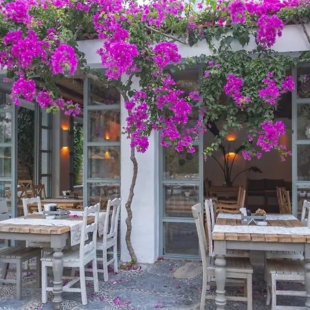 Hotel Flamingo Hotel&spa - Pet Friendly