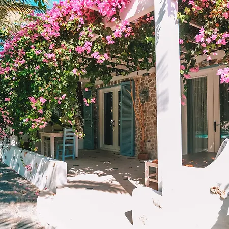 Flamingo Hotel&spa - Pet Friendly