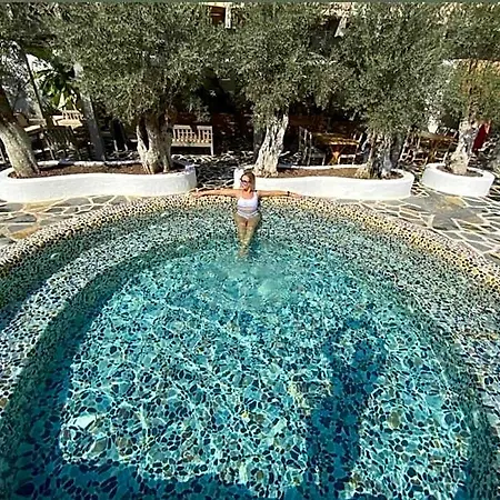 Hotel Flamingo & - Pet Friendly 3*