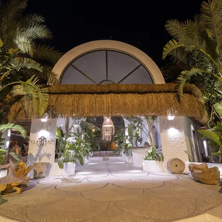 Hotel Flamingo Hotel&spa - Pet Friendly Ölüdeniz