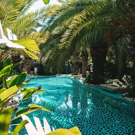 Flamingo Hotel&spa - Pet Friendly Hotel 3*