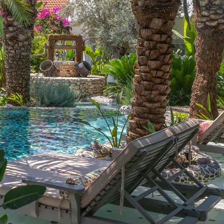 Flamingo Hotel&spa - Pet Friendly Hotel Ölüdeniz