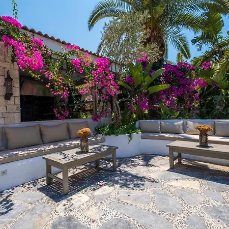 מלון Flamingo & - Pet Friendly