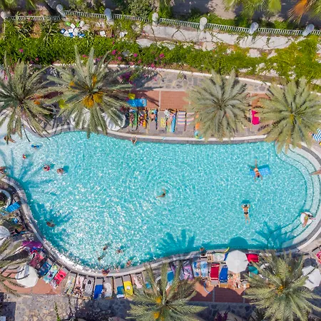 Flamingo & - Pet Friendly מלון 3*