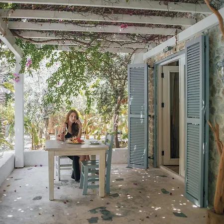 מלון Flamingo & - Pet Friendly 3*