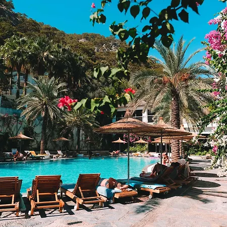 Flamingo & - Pet Friendly Hotel