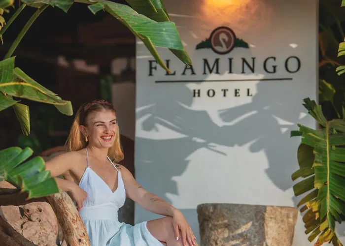 Flamingo & - Pet Friendly