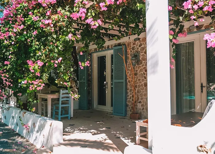 Flamingo & - Pet Friendly