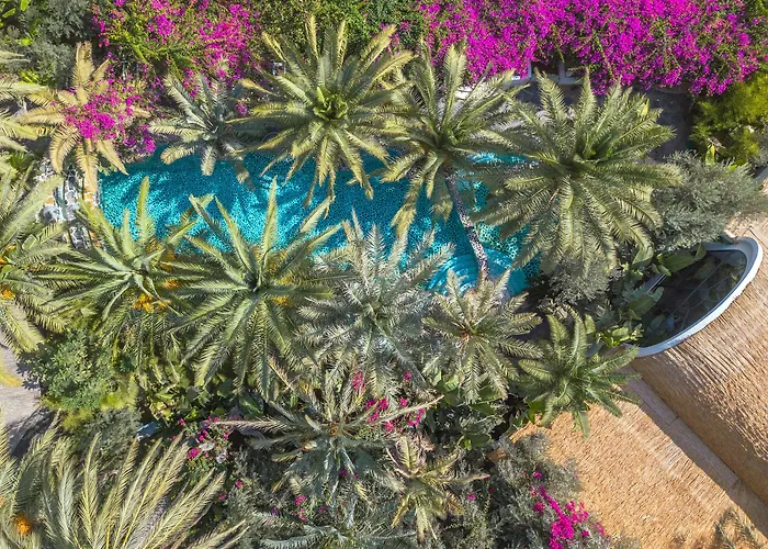 Flamingo & - Pet Friendly Hotel